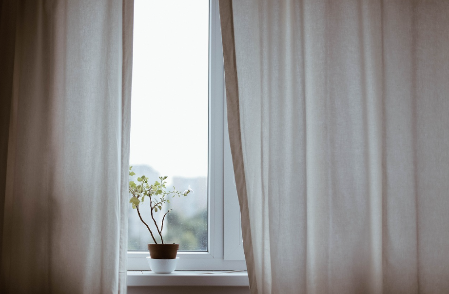 창문가 식물