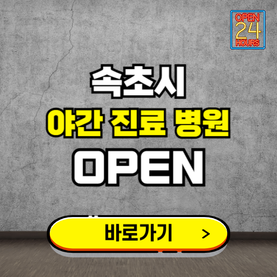 강원 속초시 야간진료 병원 찾기 ❘ 24시 심야 밤 늦게 여는 병원