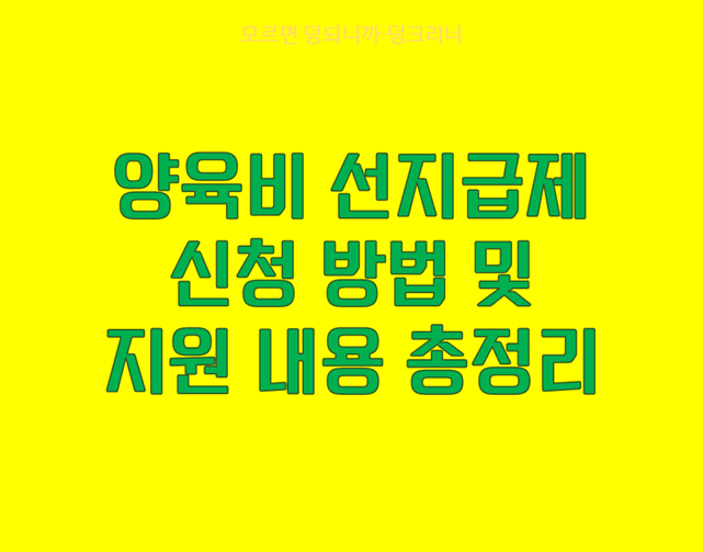 양육비 선지급 제도