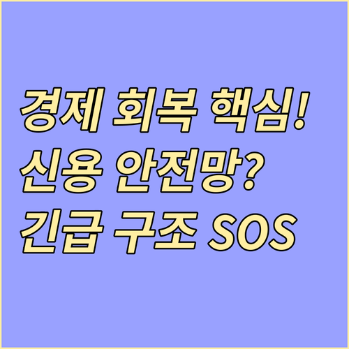 경제 주체 회복을 위한 구조적 신용 ..