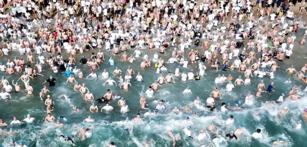 해운대 북극곰 수영대회 일정&middot;참가신청
