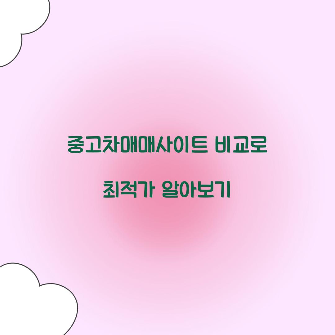 중고차매매사이트 비교