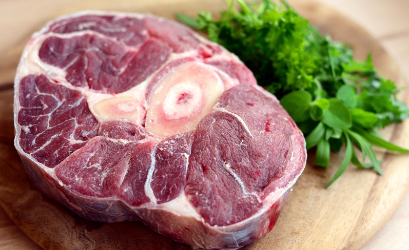 고기 근섬유 단면