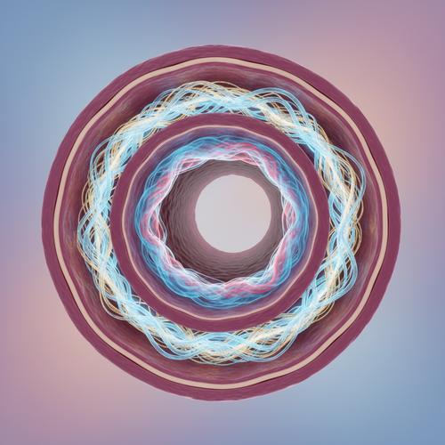 혈관 건강까지? 콜라겐의 광범위한 역할