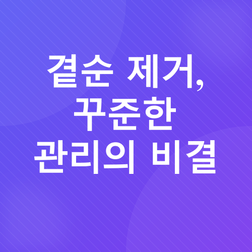 방울토마토 키우기_6