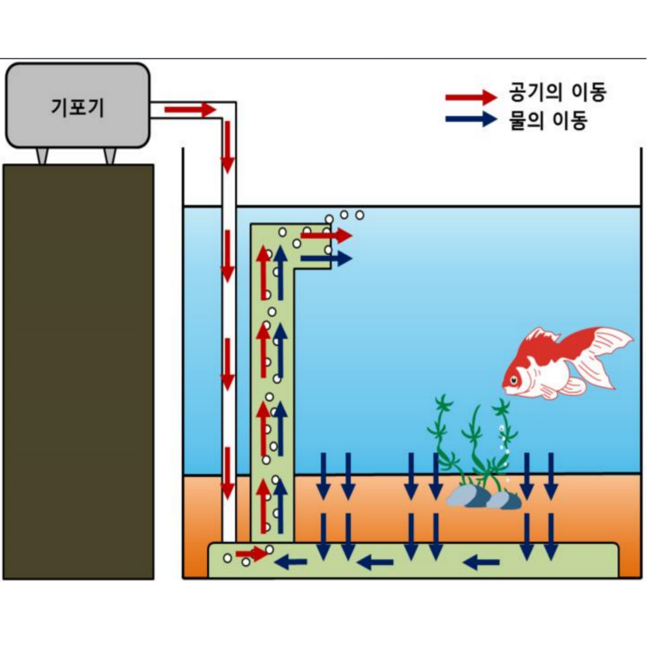 기포기