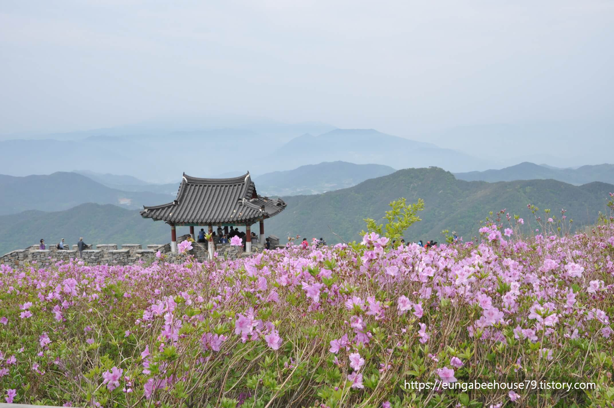산청 황매산 철쭉제
