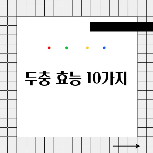 두충 효능 10가지, 부작용