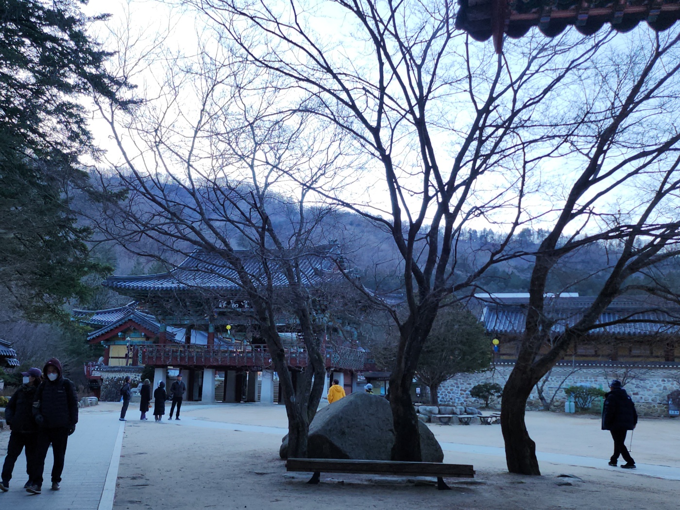 강원도오대산월정사선재길전나무숲길