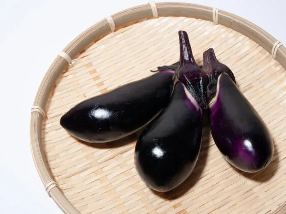 폴리페놀 성분 가지