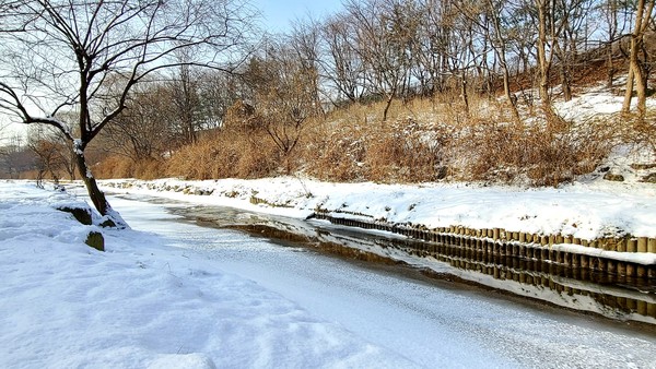 인천 남동구 반려견 겨울 나들이 명소, 강아지와 함께 걷기 좋은 산책 코스