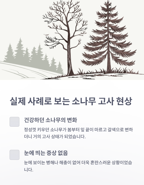 실제 사례로 보는 소나무 고사 현상
