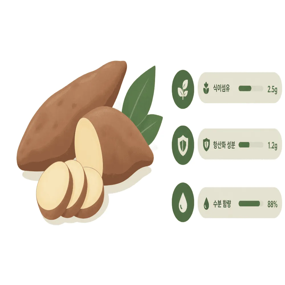 야콘 효능