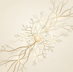 피부가려움증의 원인