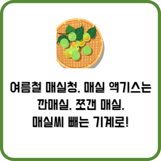 깐매실, 쪼갠 매실, 매실씨 빼는 기계