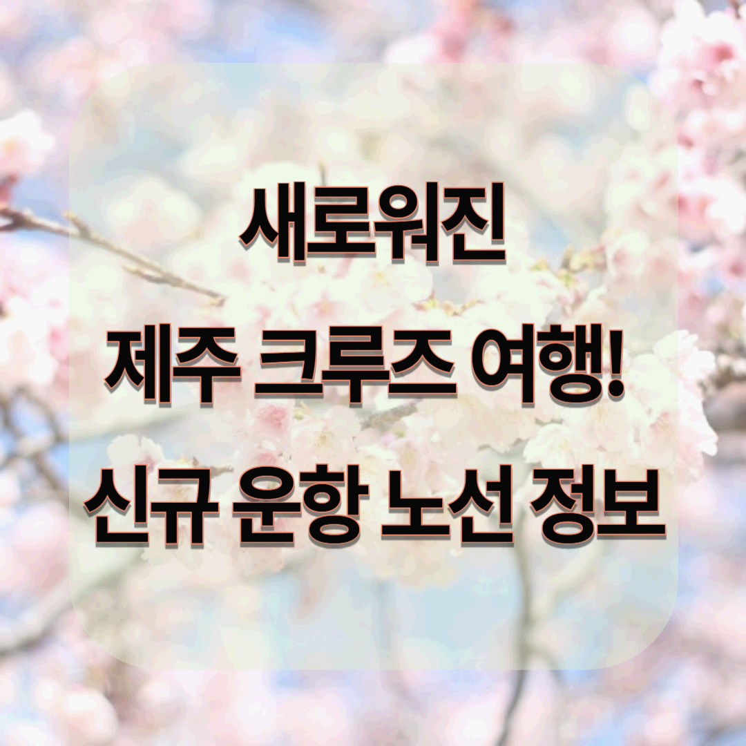 제주 크루즈 여행! 신규 운항 노선 총정리🚢 일본·중국 찍고 다시 제주로?