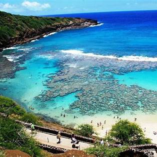 하와이 호놀룰루, 자연과 미식의 여행지 [2025년 5대관광지,6대먹거리]