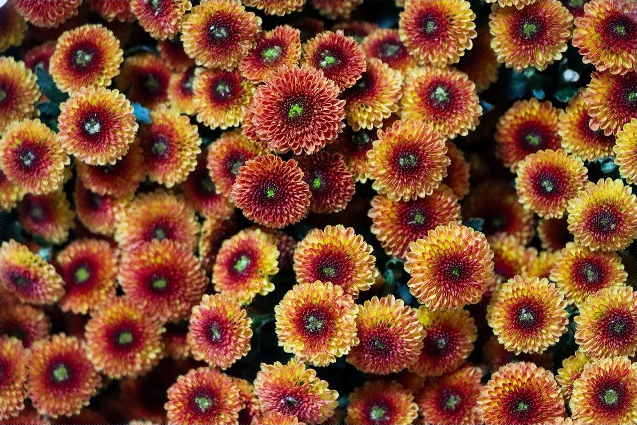 저축은행 정기예금 금리비교 사이트