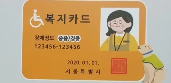 경증 장애인 복지혜택 정보_10