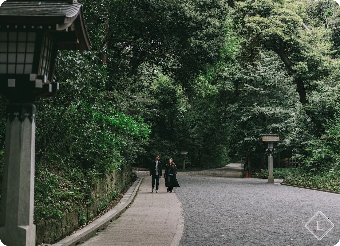 메이지 신궁 숲길 01