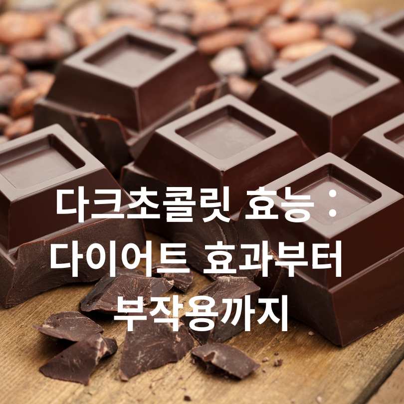 다크초콜릿 효능