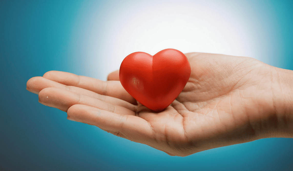 실손보험_비교사이트_5