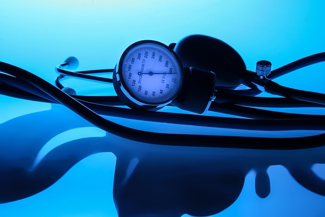 고지혈증에 좋은 음식 29