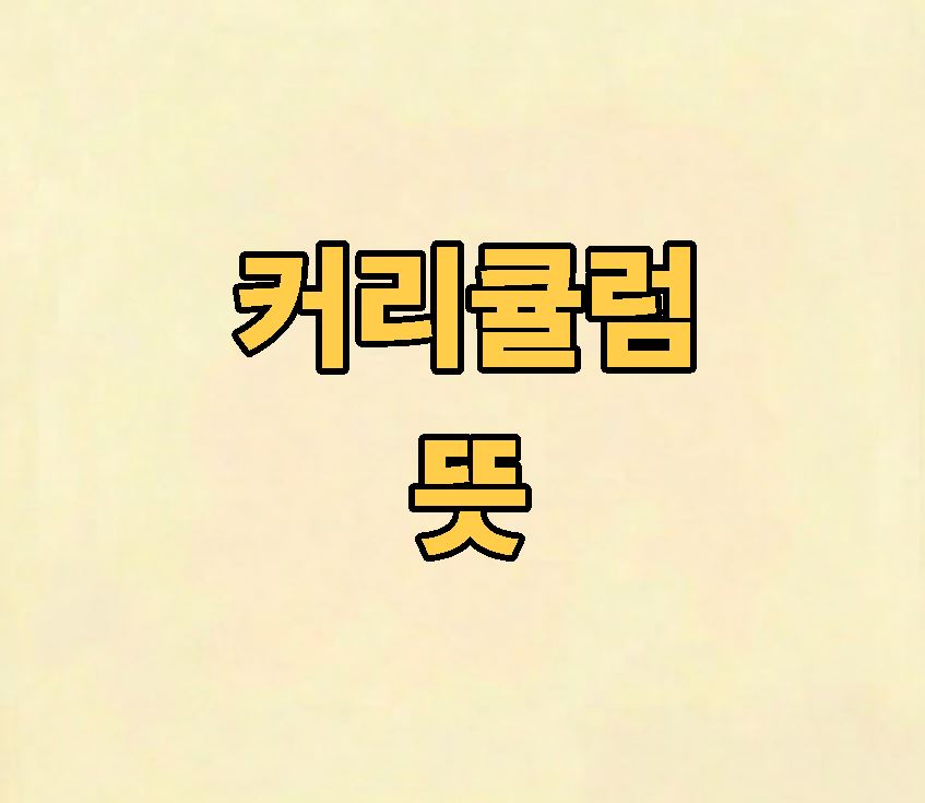 커리큘럼 뜻