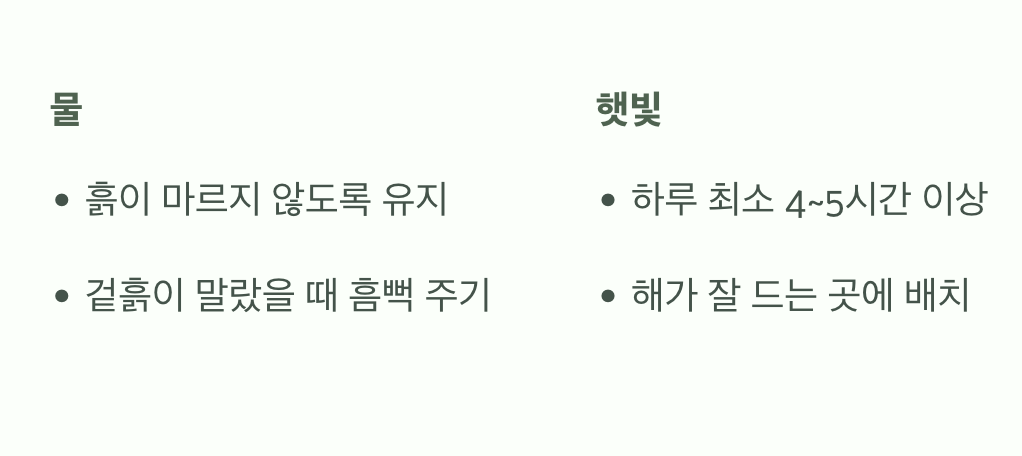 물과 햇빛, 이것만 기억하세요