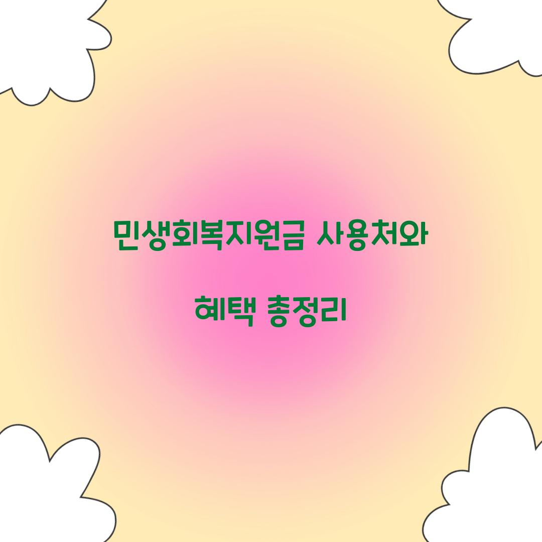 민생회복지원금 사용