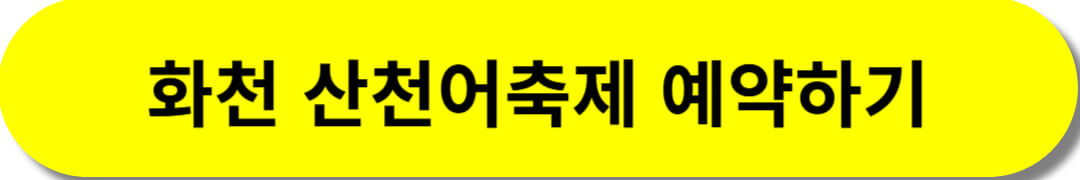 2025 화천 산천어축제 예약하기