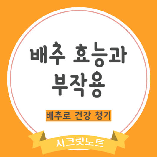 배추 효능