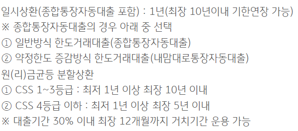 국민은행 직장인든든 신용대출