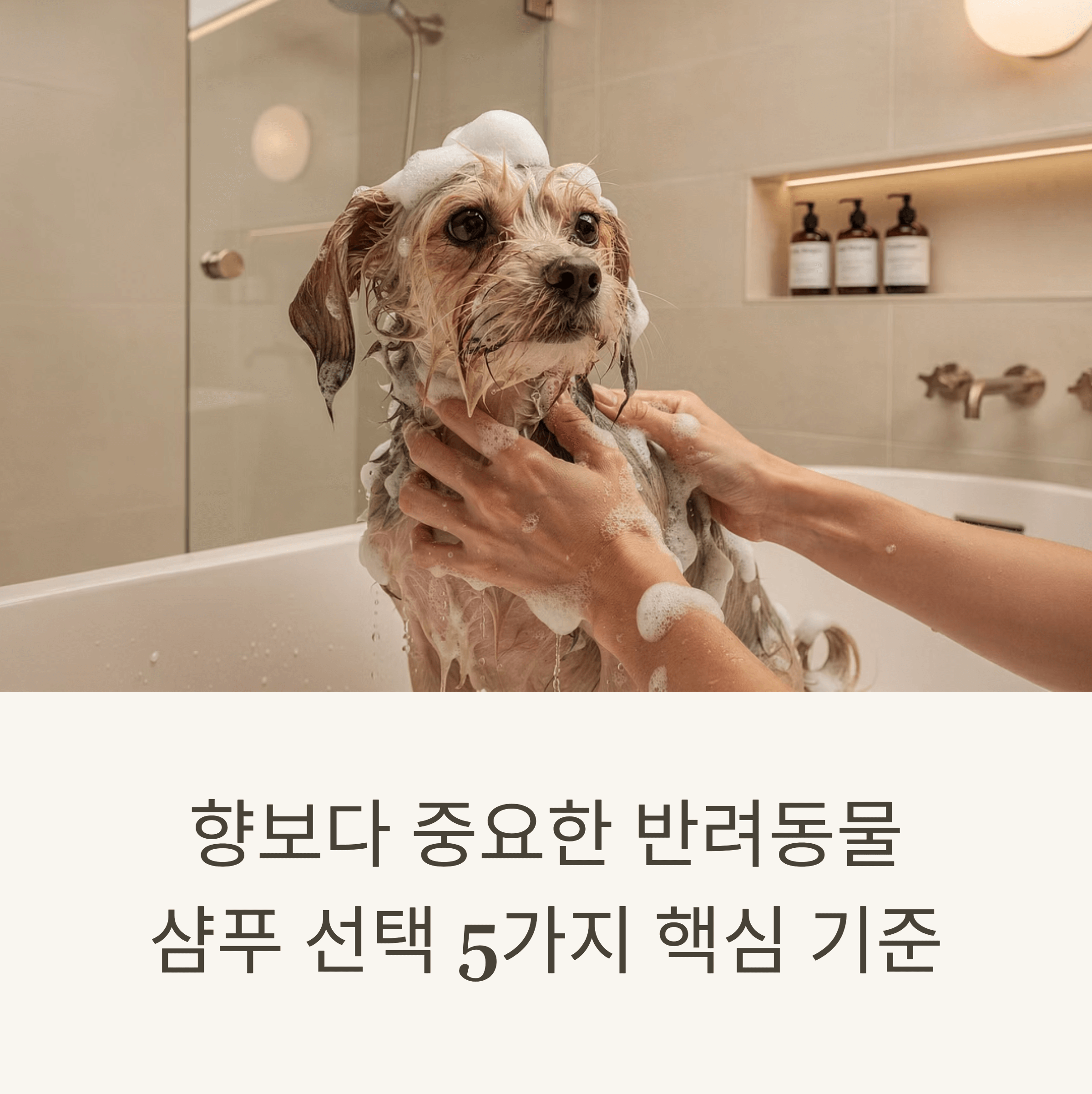 향보다 중요한 반려동물 샴푸 선택을 위한 5가지 핵심 기준