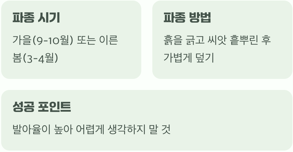 씨앗&amp;#44; 뿌리는 순간 절반은 성공