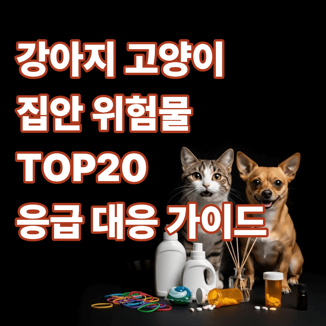 강아지 고양이 집안 위험물 TOP 20 (끈, 고무줄, 세제, 약, 향 제품 등) 응급 대응 가이드