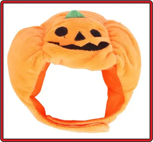 할로윈데이-호박-강아지-용품