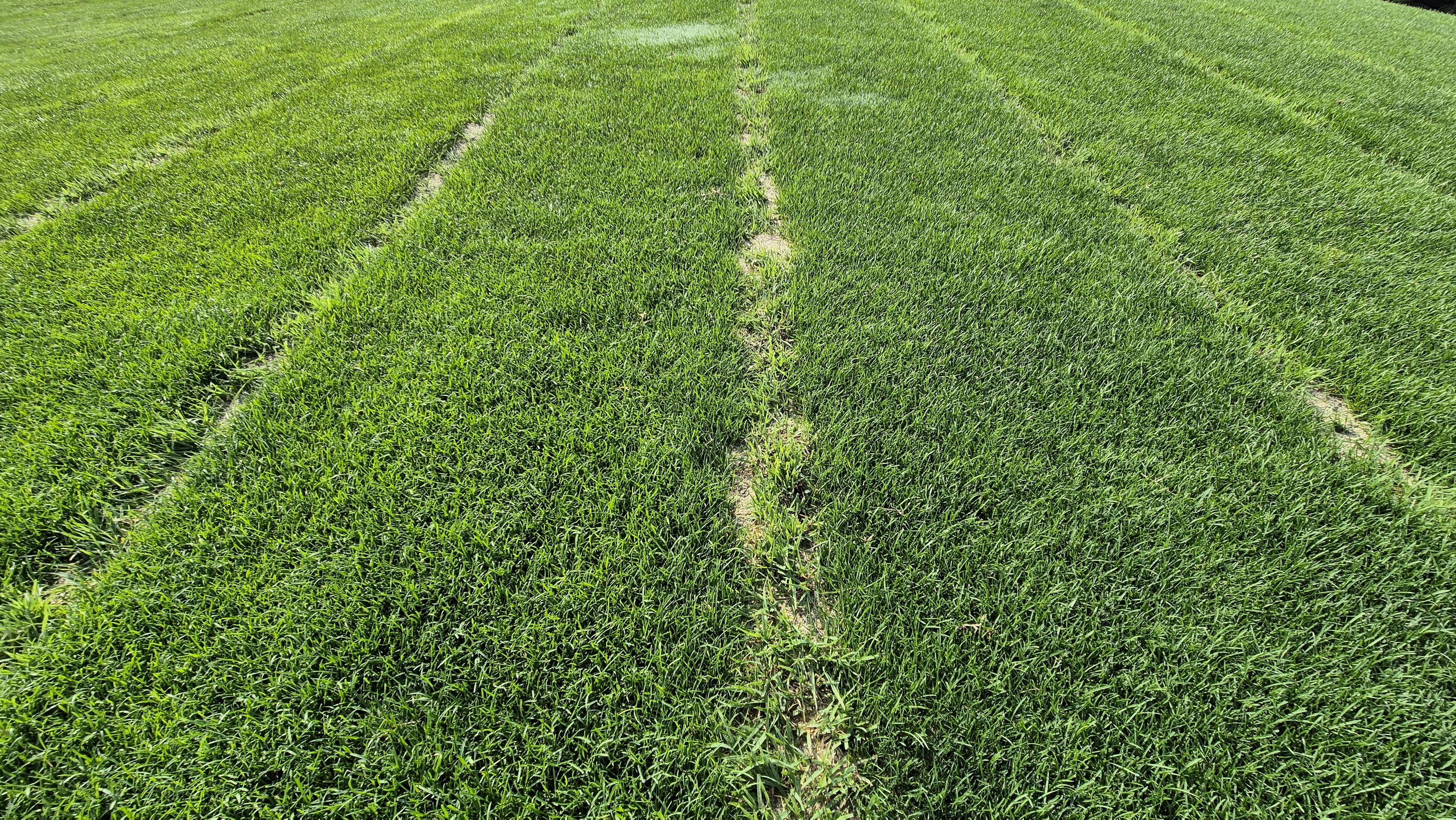 샤인데일cc 라운드 후기