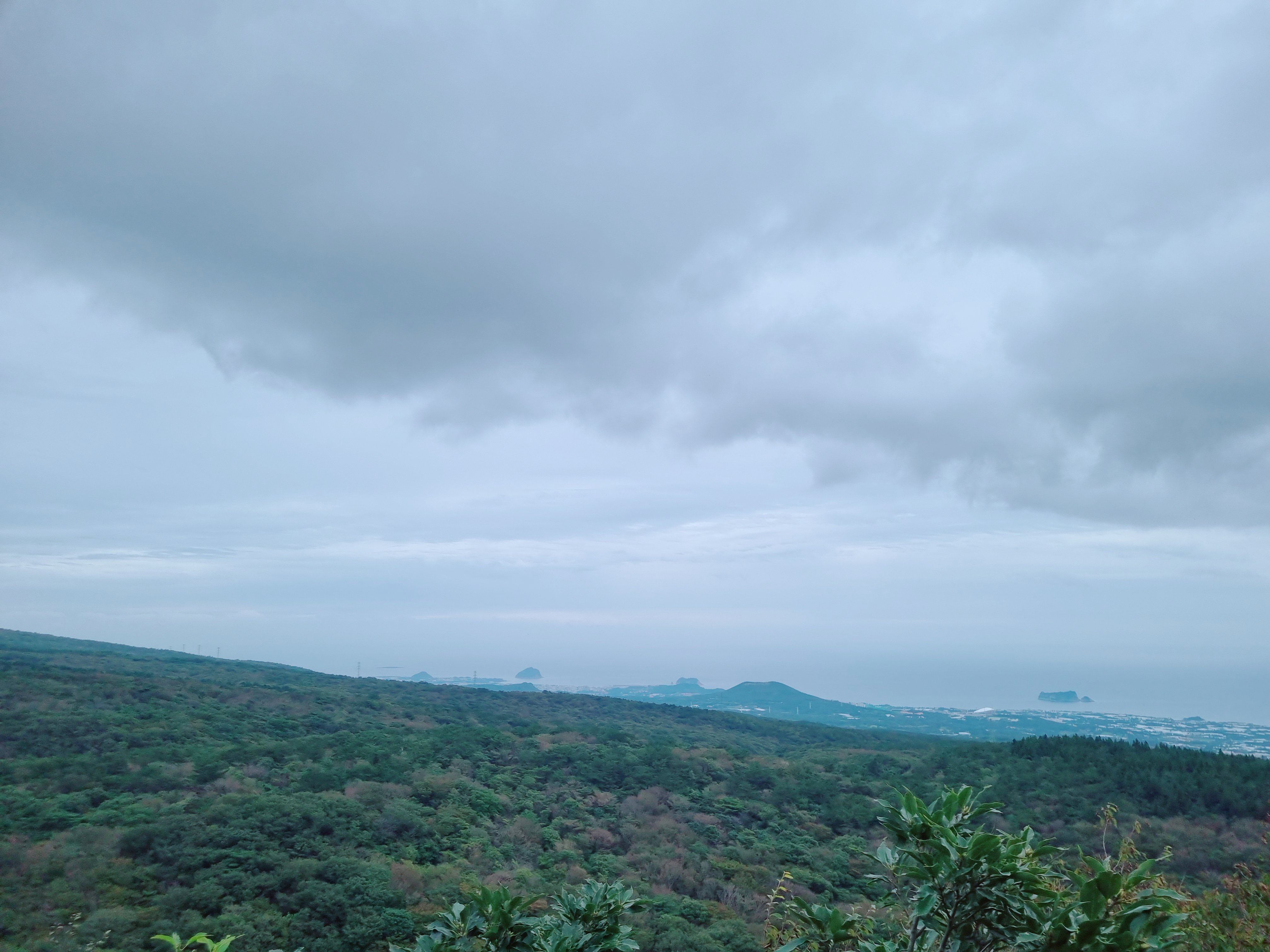 서귀포자연휴양림