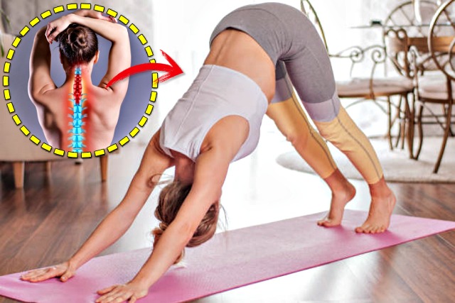 요가 도그자세 효과 5, 척추 강화 운동, 건강, 팁줌