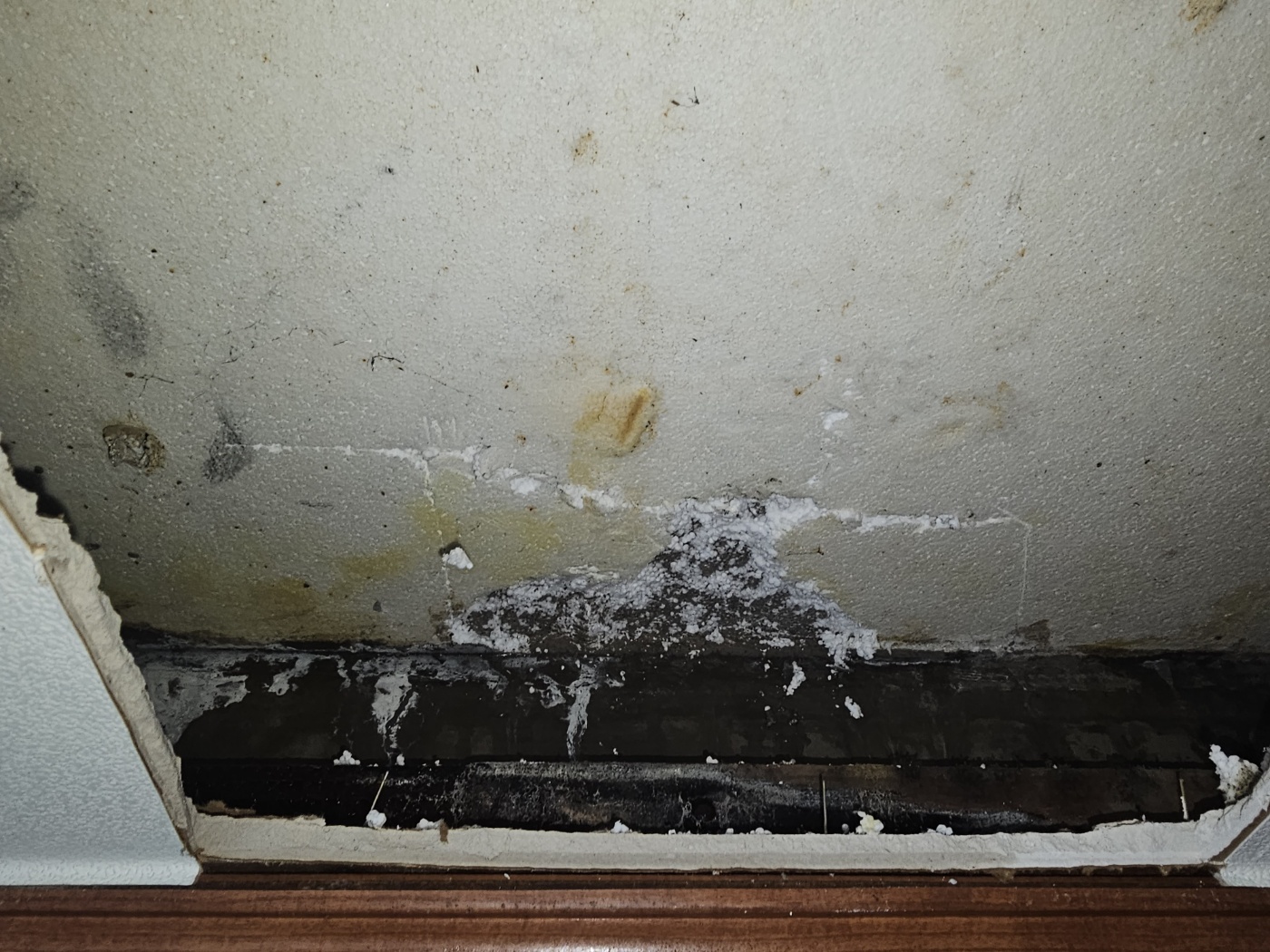 공주누수탐지전문