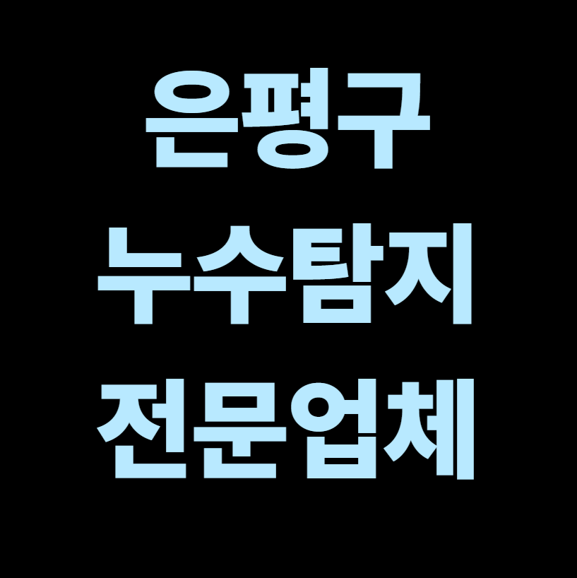 은평구 누수탐지 전문업체