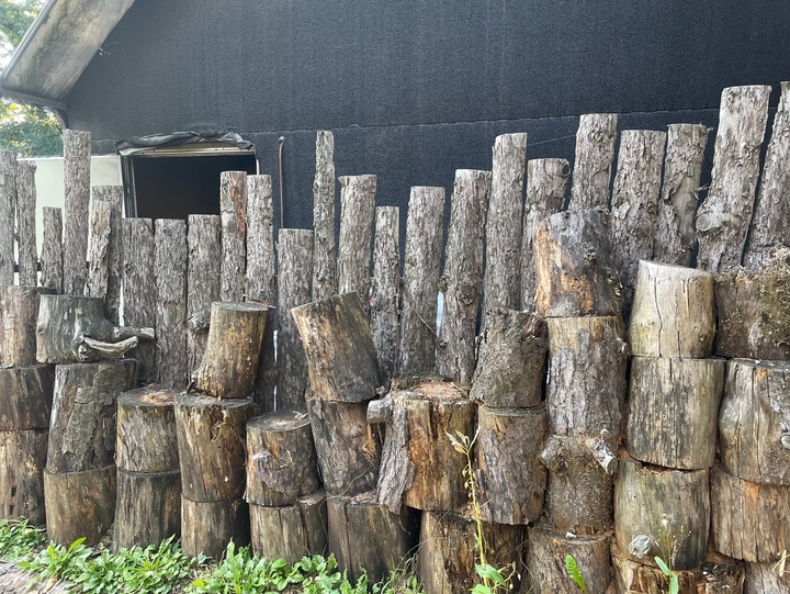 양주 맛집 카루소