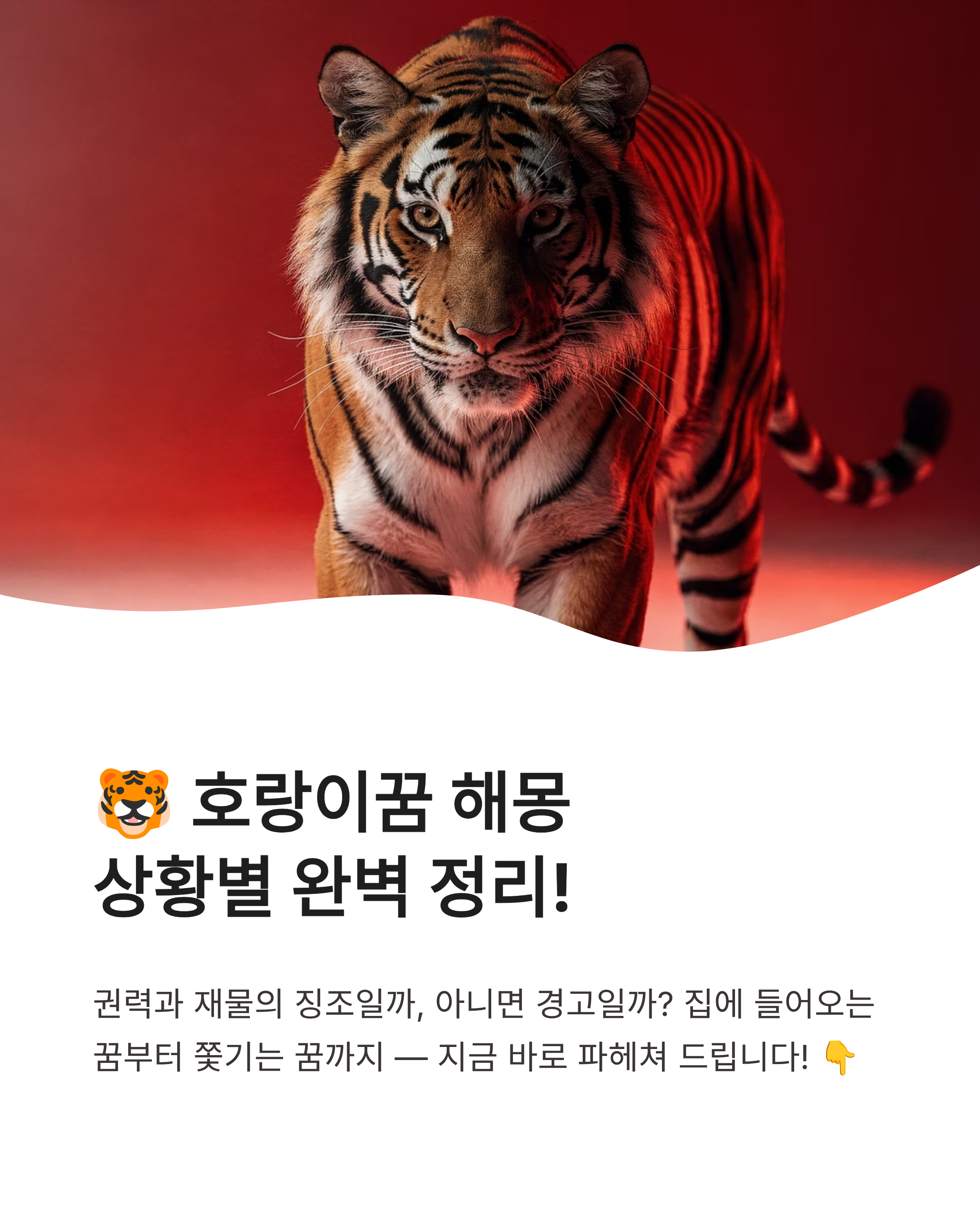 호랑이꿈 해몽 ❘ 집에 들어오는 새끼 호랑이 쫓기는 꿈까지 상황별 완벽 정리!