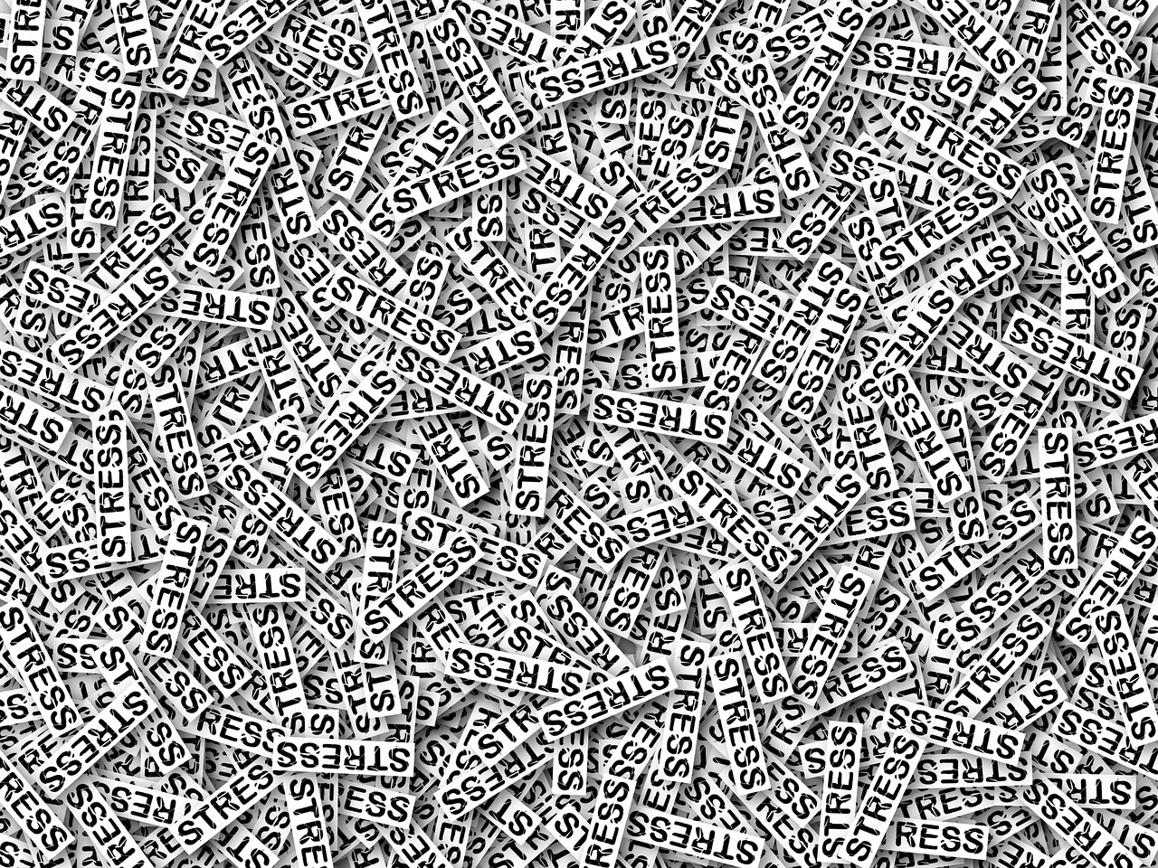 스트레스