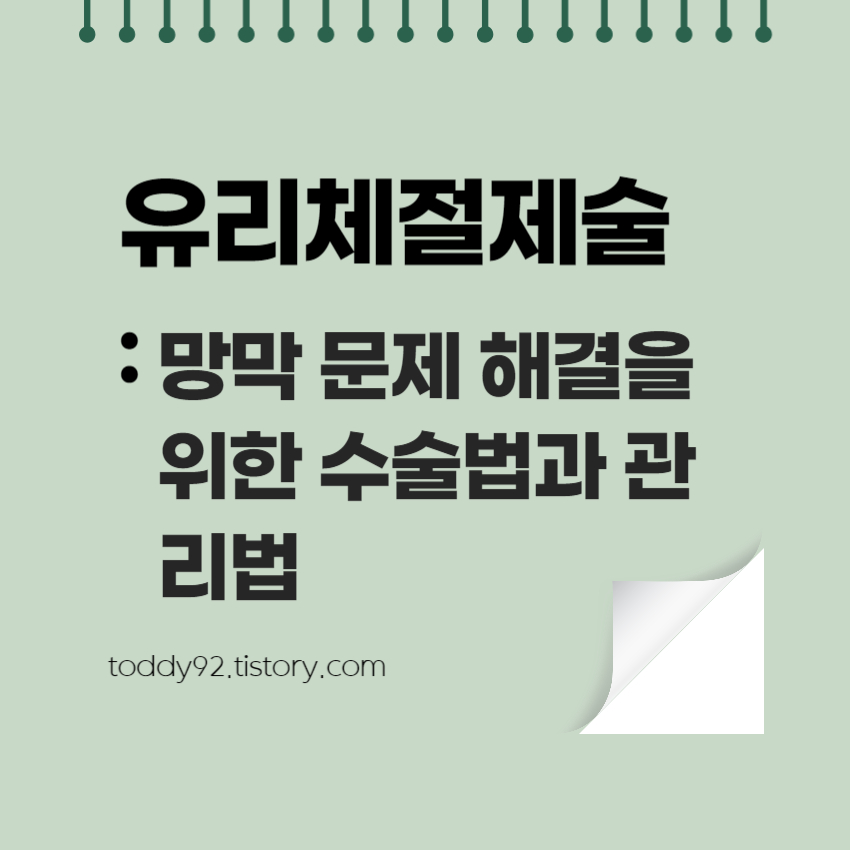 유리체절제술