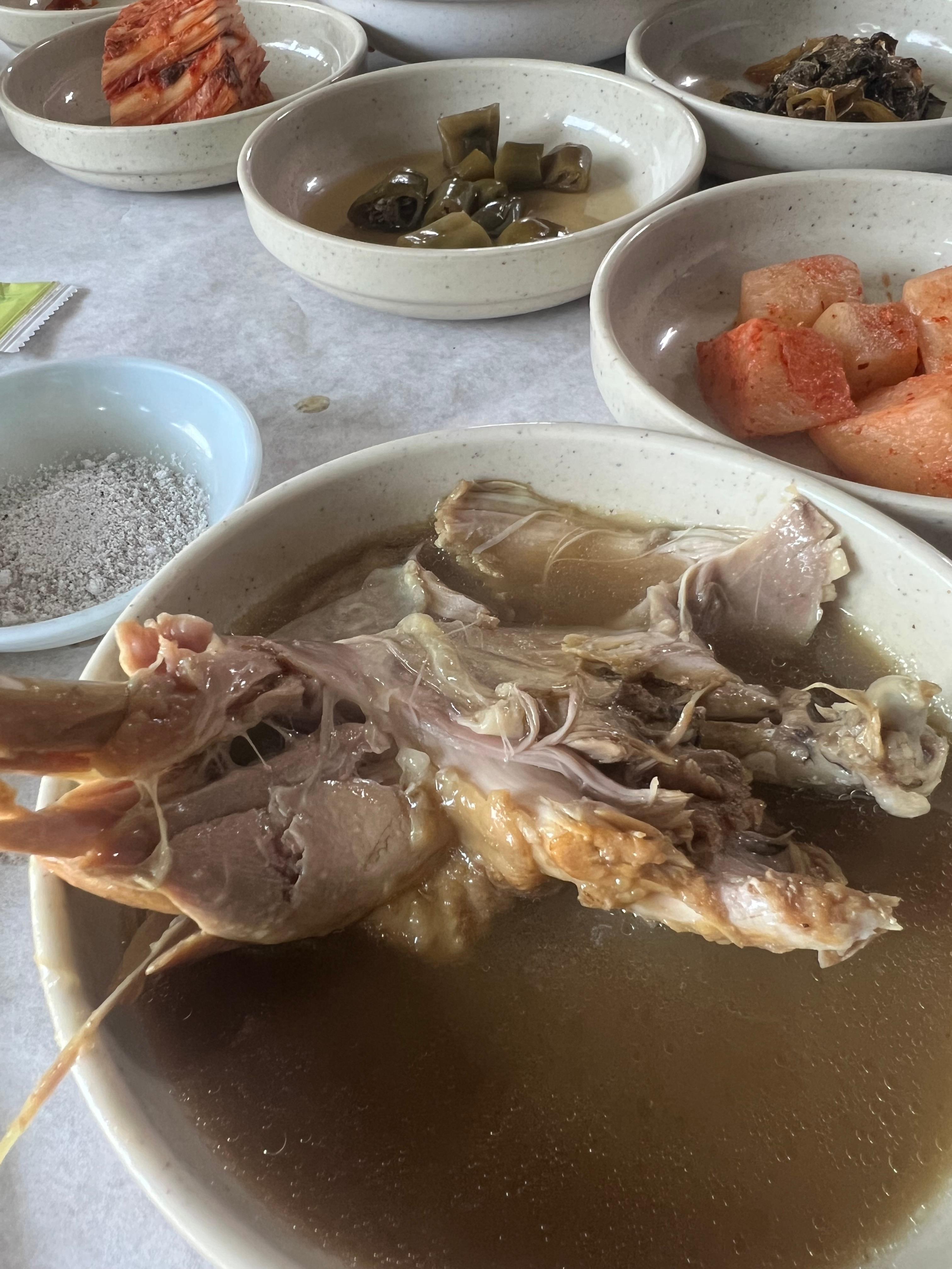 대청호 옻닭맛집 토담골