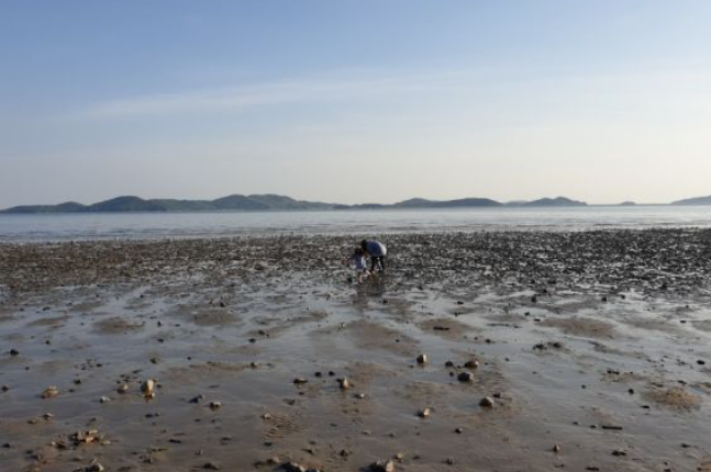 1월 인천 가볼만한곳 추천 ❘ 국내 겨울 갈만한곳 여행지 ❘ 데이트 ❘ 가족 ❘ 실내 ❘ 당일치기