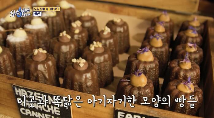 식스센스시티투어2-도토리빵집