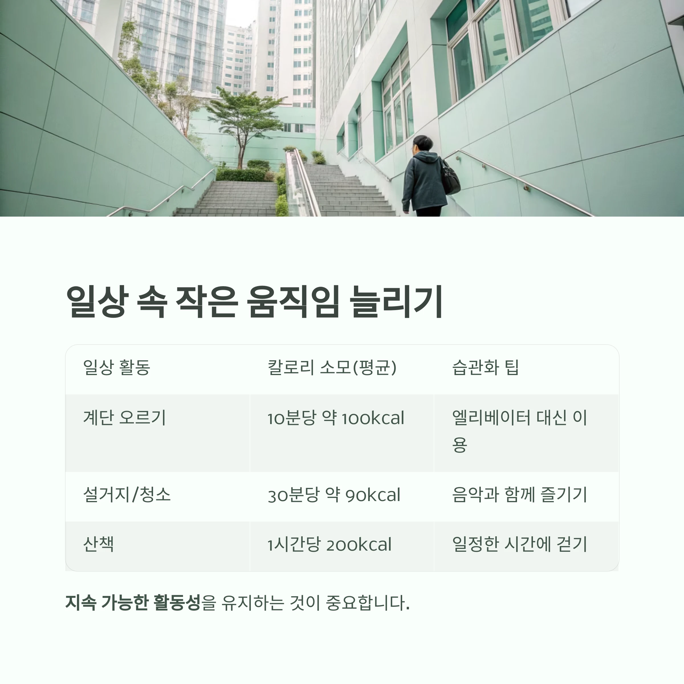 요요없는다이어트